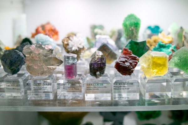 close up of display case showing different gemstones and minerals in many different colors.
